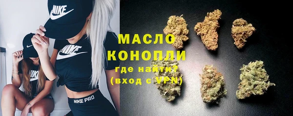 индика Белокуриха