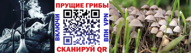 Галлюциногенные грибы прущие грибы  Нижняя Тура 